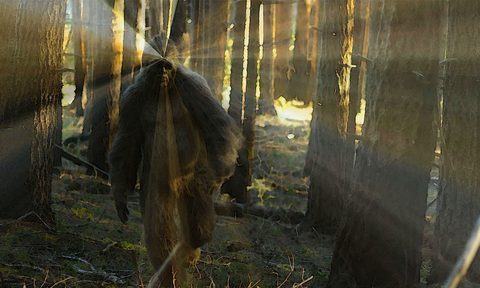 Sasquatch Challenge