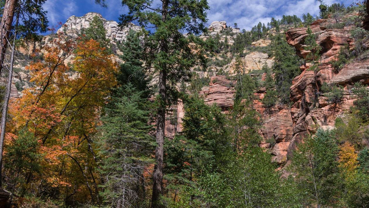 sedona