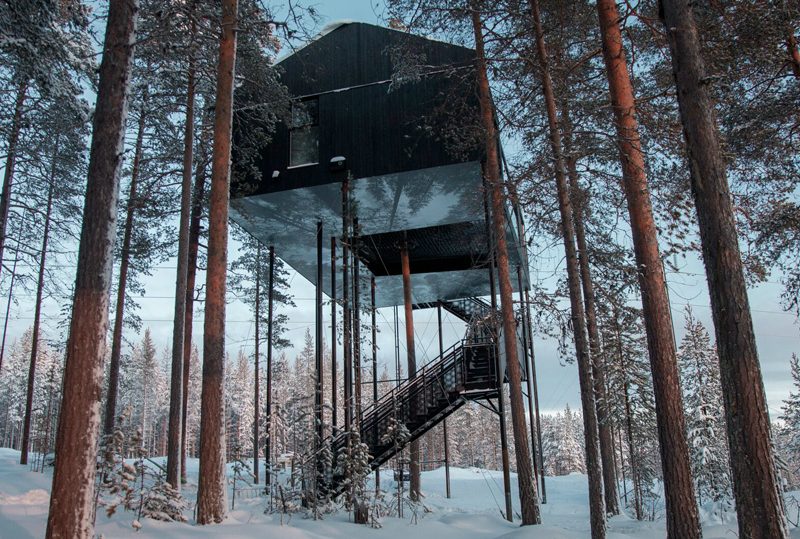 The 7th Room Treehotel