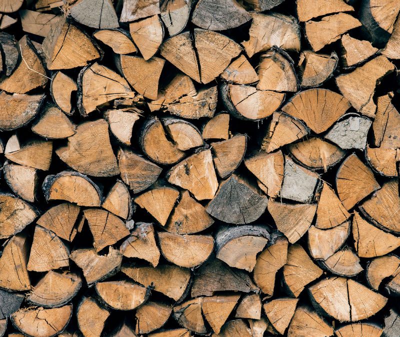 Stacked firewood