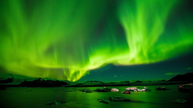 Iceland - Northern Lights & Winter Wildlife tour