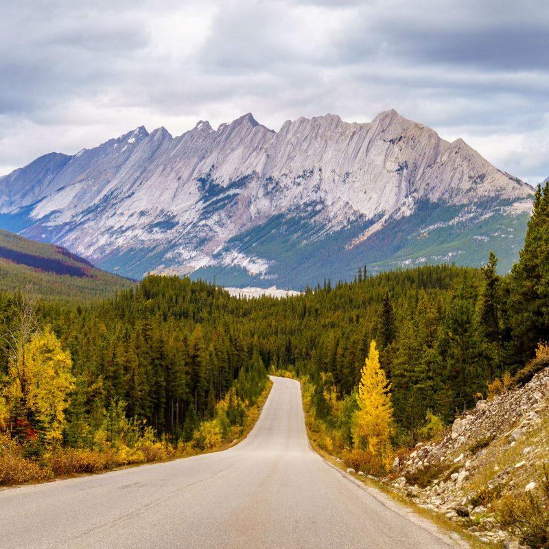 Jasper National Park, Alberta, Canada