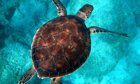 marine park