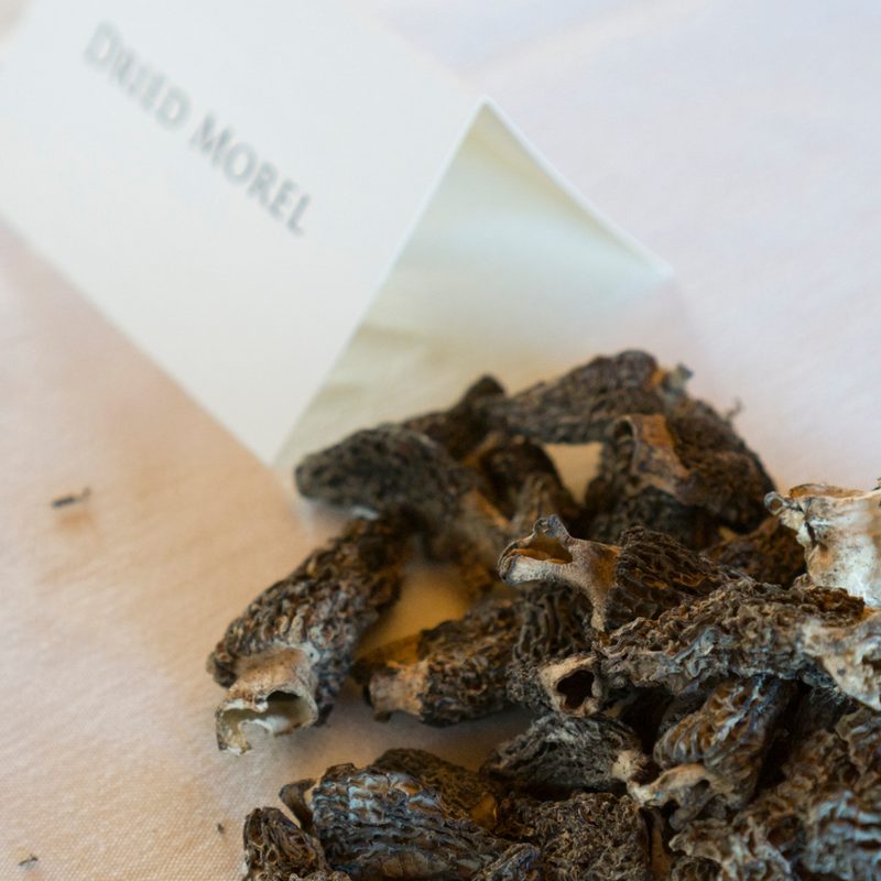 foraging chanterelle mushrooms stephanie inn pnw mushroom 25