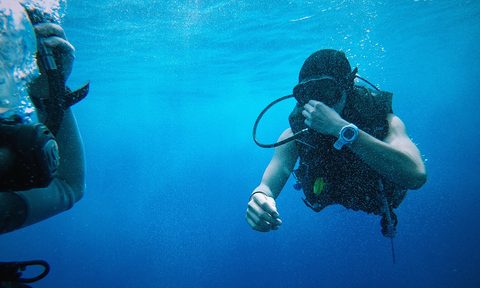 pearl diving
