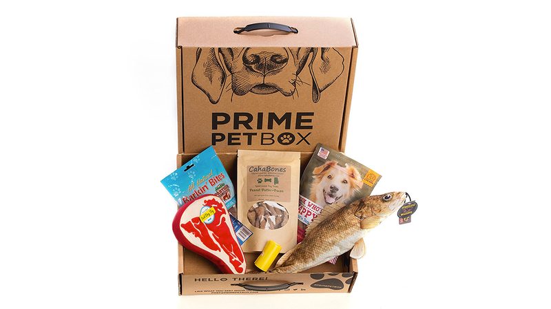last minute gift ideas prime pet box