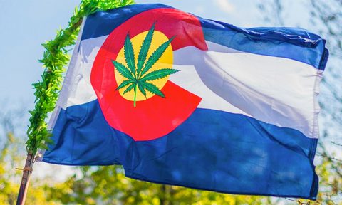 colorado cannabis tours