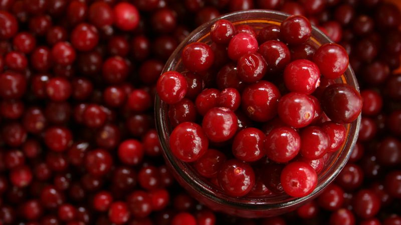 cranberry