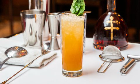 Dusse julep cocktail