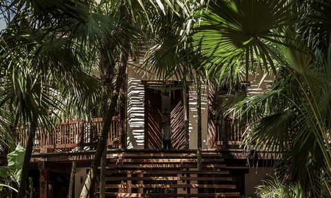 Tulum Treehouse Jungle Treehouse