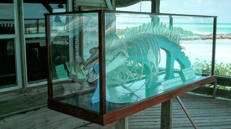 Exumas Land and Sea Park