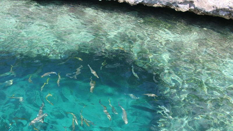 Exumas Stocking Island