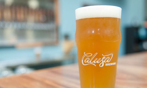 milkshake ipa