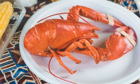 Lobster on a plate