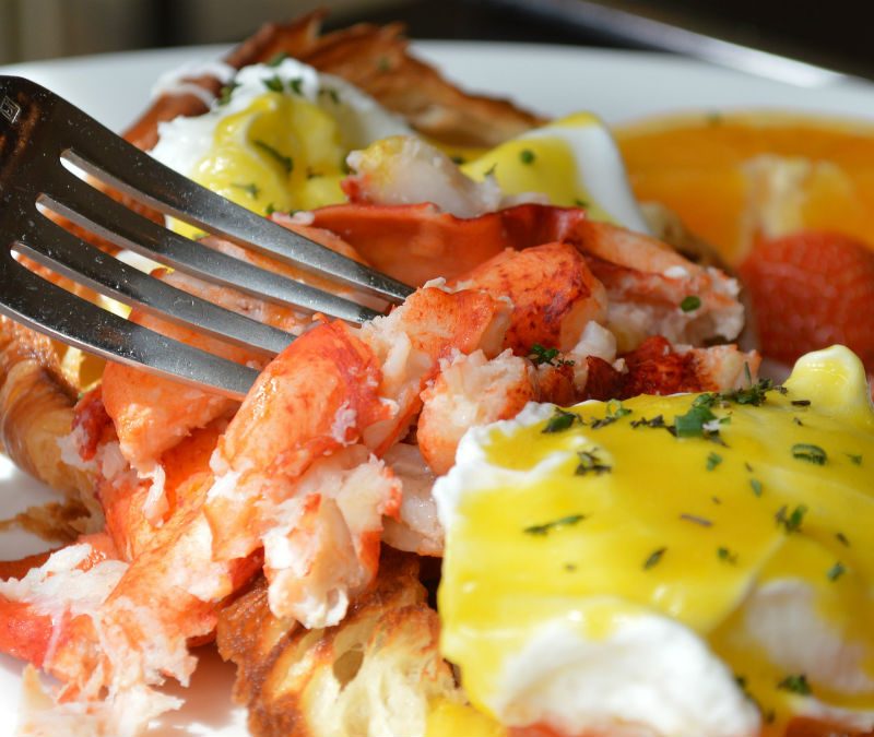 Lobster eggs benedict