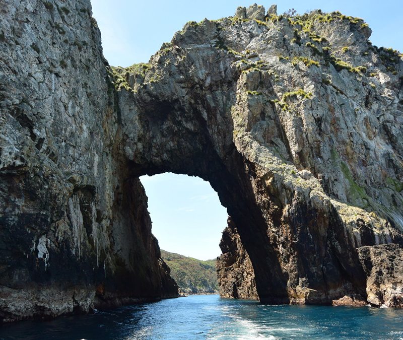 poor knights island