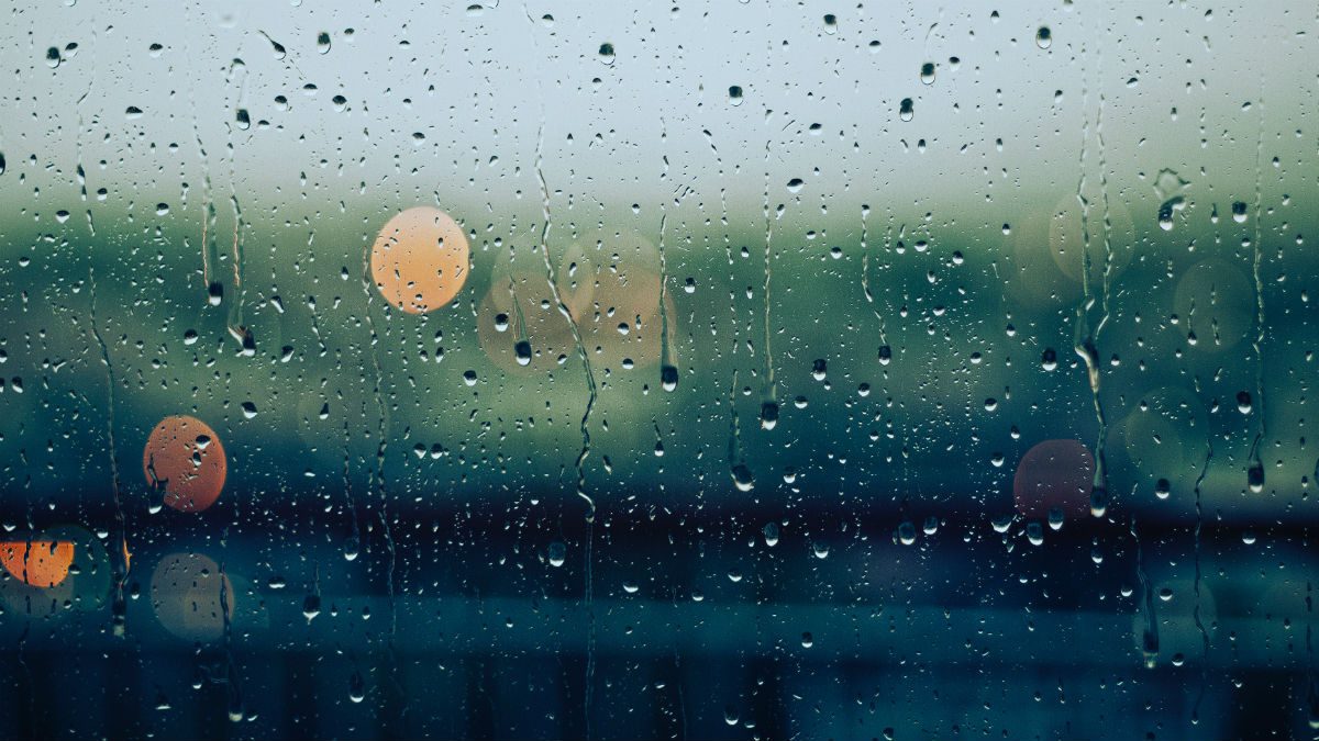 Rain A Natural and Cultural History