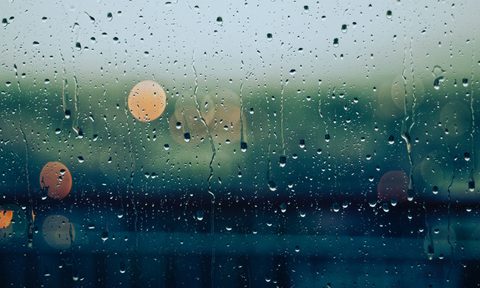 Rain A Natural and Cultural History