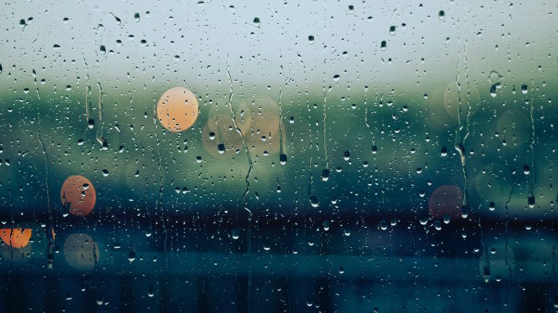 rain natural and cultural history