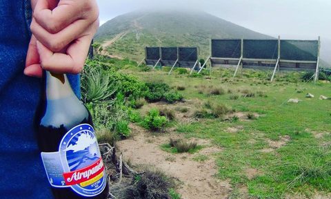 chilean fog beer cerverceria atrapaniebla 13450854 1161873497167842 7293074683688715633 n