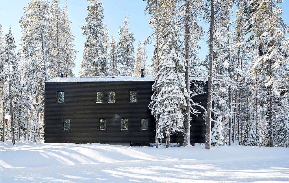architecture troll hus california chalet trollhus08