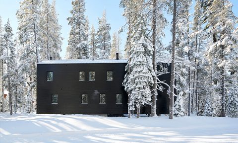 architecture troll hus california chalet trollhus08