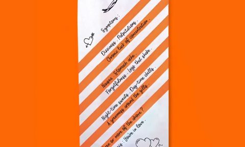 lovesick sonnets easyjet barf bag