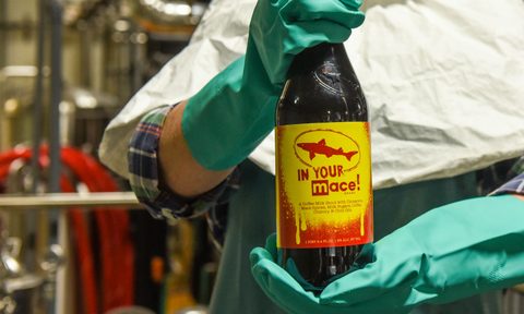 dogfish head brewery in your mace