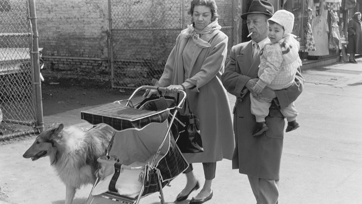 lower-east-upper-west-jonathan-brand-family