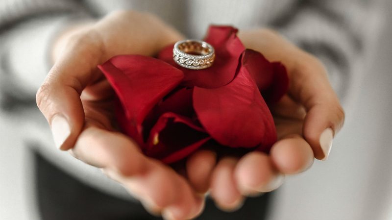 valentines day romantic ring rose