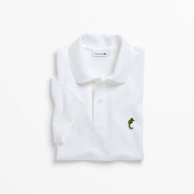lacoste save our species polo program 03 x uicn the northern sportive lemur ph4654