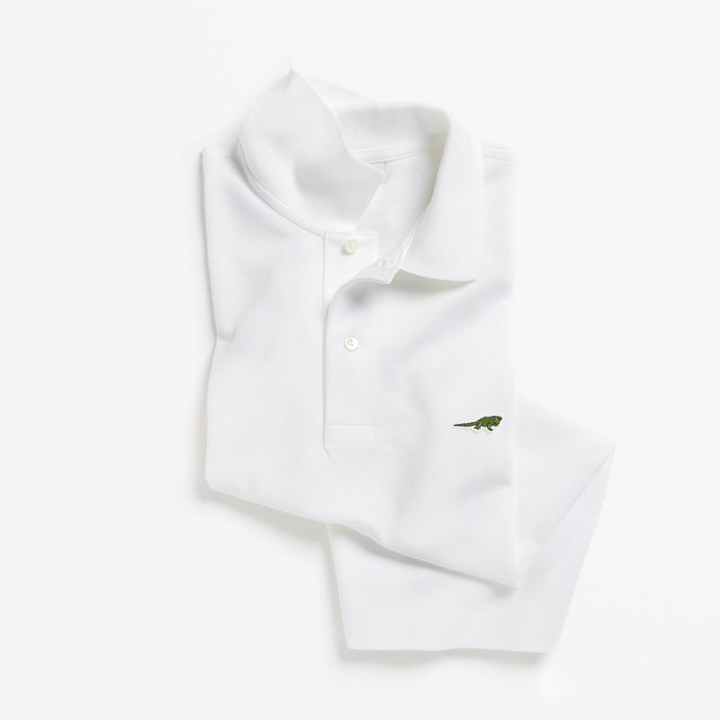 lacoste save our species polo program 10 x uicn the anegada ground iguana ph4660