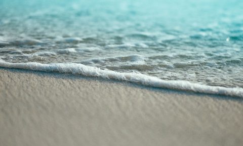 beach sea ocean