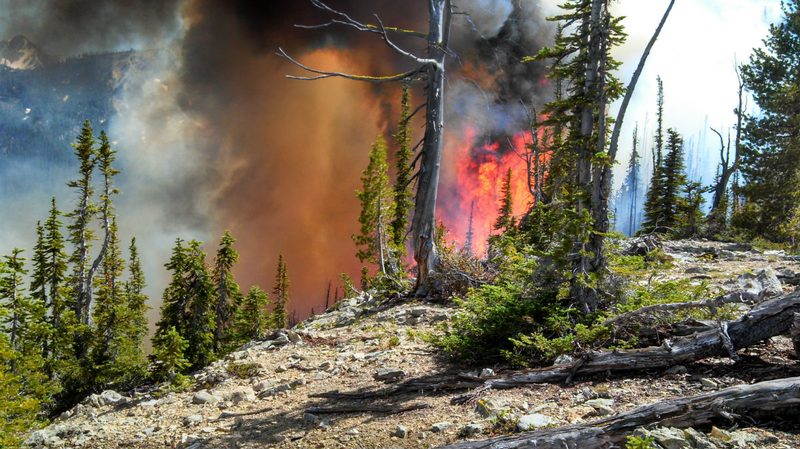 jason ramos smokejumper fire