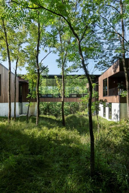 ravine residence iowa architecture bnim d78d0a10 235e 4b0f 9f07 f8f9610c02ec edited