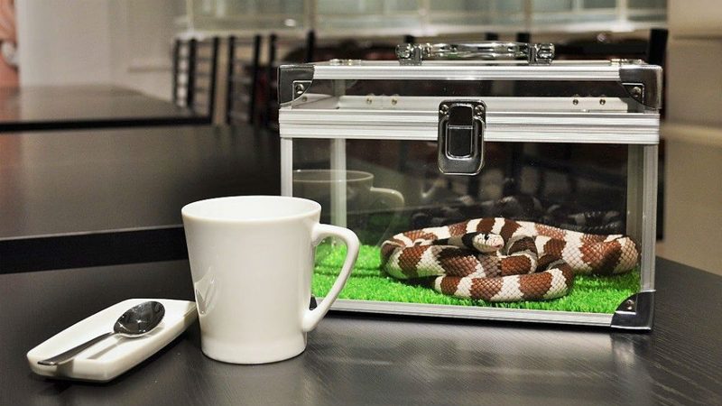 tokyo snake center coffee