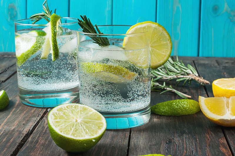 Gin and tonic with lemons and limes