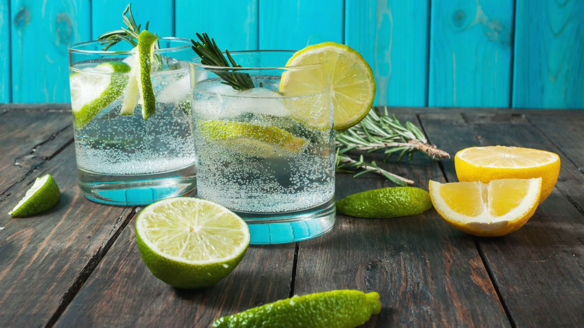 Gin and tonic lime lemon rosemary