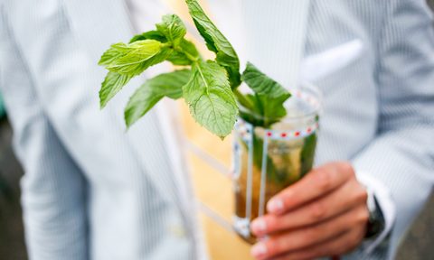 Kentucky mint julep