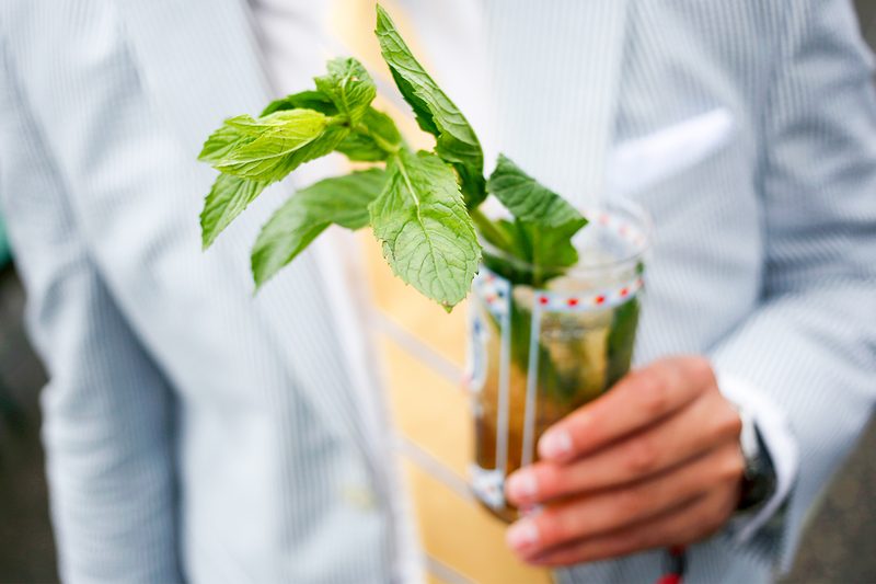 kentucky mint julep