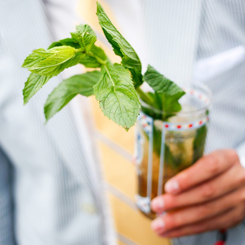 kentucky mint julep