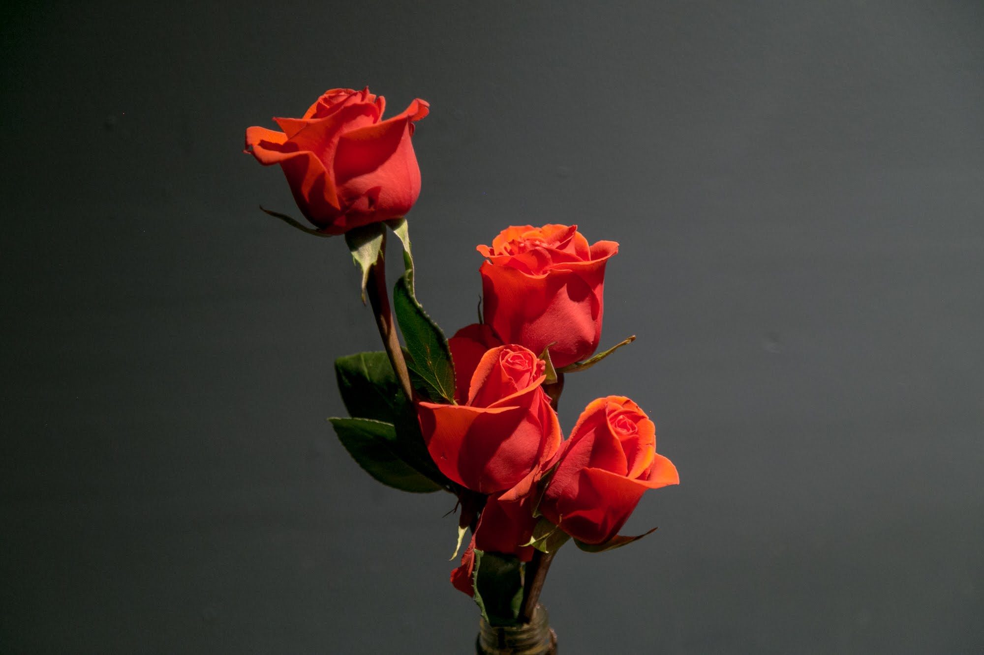 the manual four roses bourbon pairing scene 9