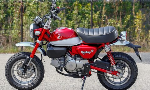 2018 Monkey