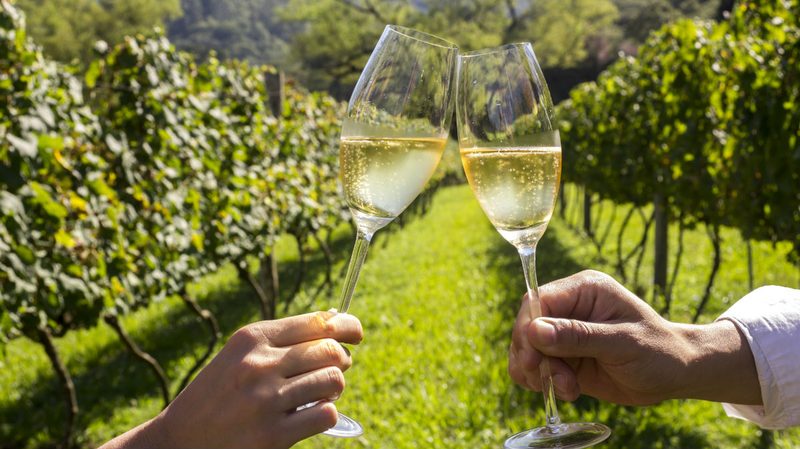 brazilian sparkling wine cheers toast glass