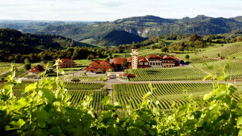 brazilian sparkling wine Miolo
