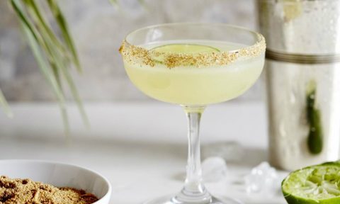 eat grub mealworm margarita