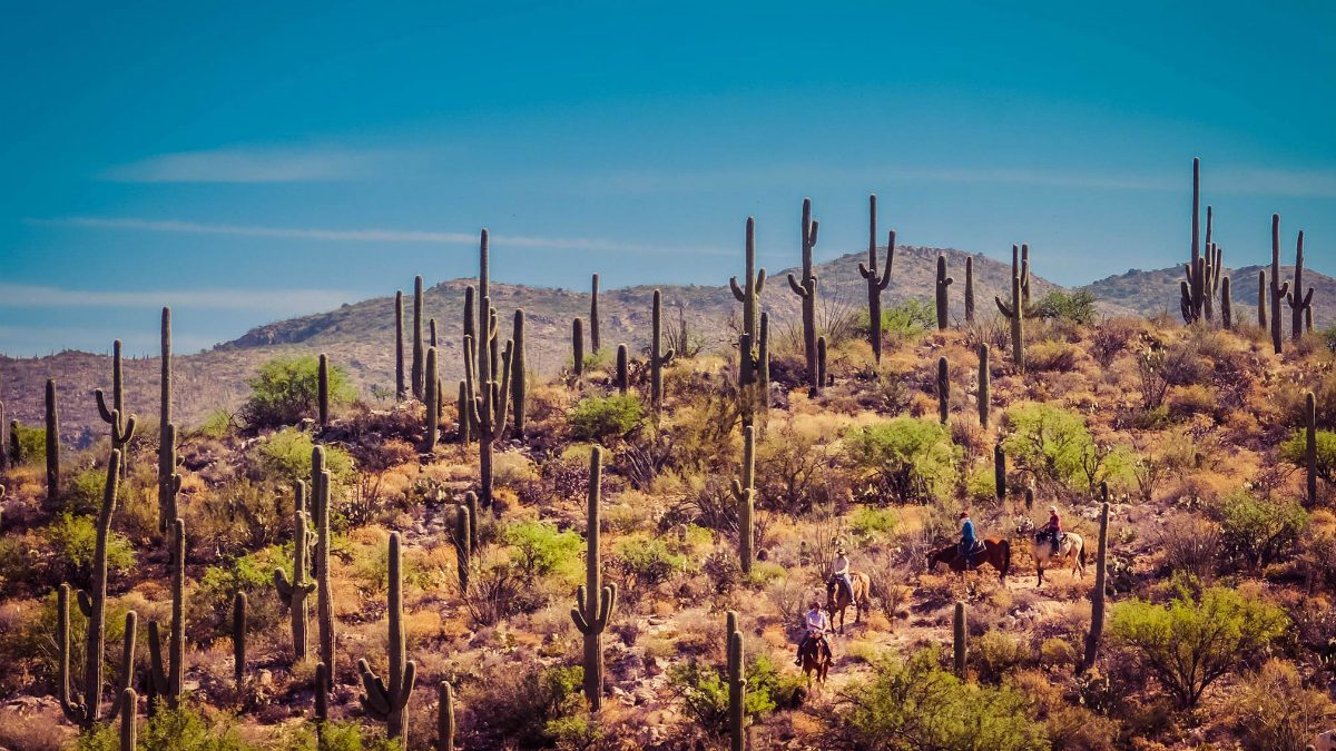 best all inclusive resorts tanque verde resort riding