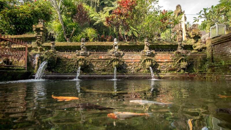 Four Seasons World of Adventures Trip Bali