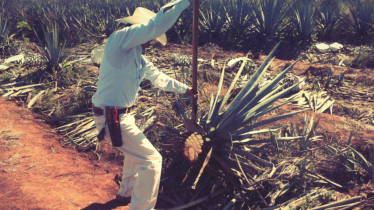Padre Azul