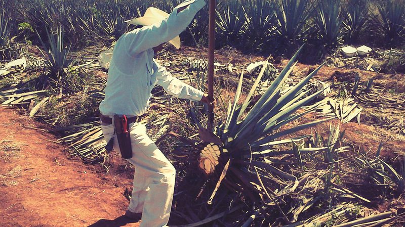 Padre Azul